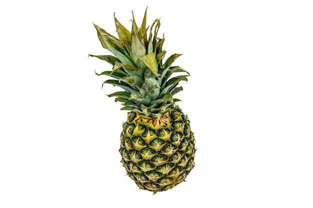 Whole ripe pineapple isolated on a white background