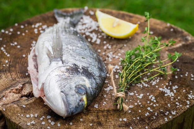 Whole sea bream with lemon and herbs for grill