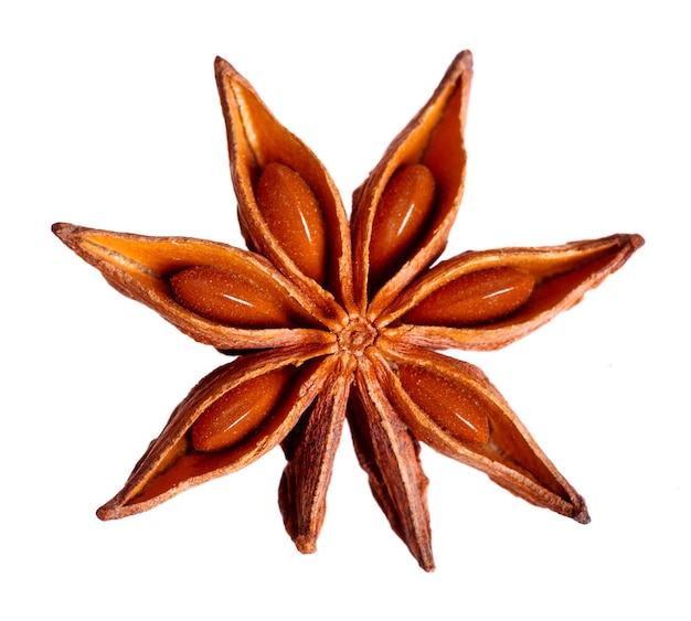 Whole Star Anise isolated on white background with shadow