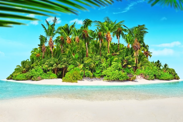 Whole tropical island within atoll in Indian Ocean. Uninhabited and wild subtropical isle with palm trees. Blank  sand on a tropical island.