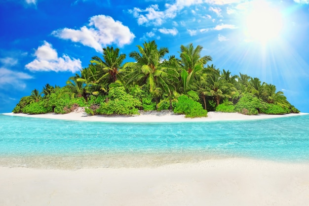 Whole tropical island within atoll in Indian Ocean. Uninhabited and wild subtropical isle with palm trees. Blank  sand on a tropical island.