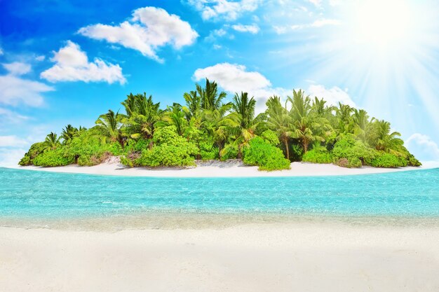 Whole tropical island within atoll in Indian Ocean. Uninhabited and wild subtropical isle with palm trees. Blank  sand on a tropical island.