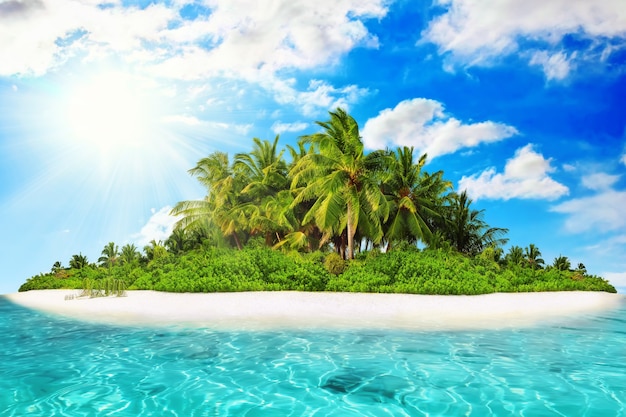 Whole tropical island within atoll in tropical Ocean on a summer day. Uninhabited and wild subtropical isle with palm trees. Equatorial part of the ocean, tropical island resort.