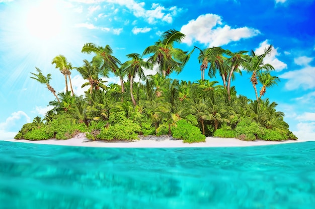 Whole tropical island within atoll in tropical Ocean on a summer day. Uninhabited and wild subtropical isle with palm trees. Equatorial part of the ocean, tropical island resort.