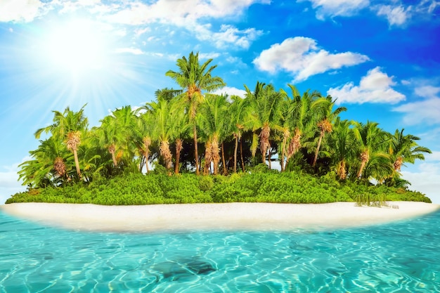 Whole tropical island within atoll in tropical Ocean on a summer day. Uninhabited and wild subtropical isle with palm trees. Equatorial part of the ocean, tropical island resort.