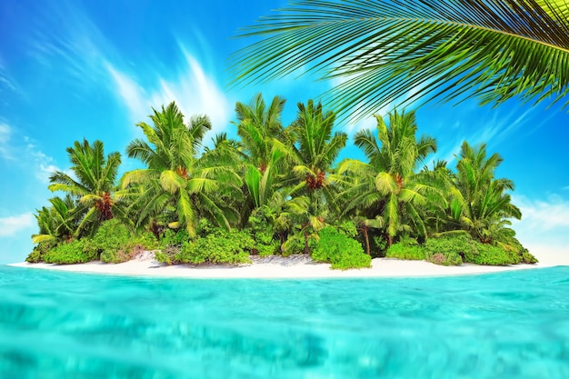 Whole tropical island within atoll in tropical Ocean. Uninhabited and wild subtropical isle with palm trees. Equatorial part of the ocean, tropical island resort.