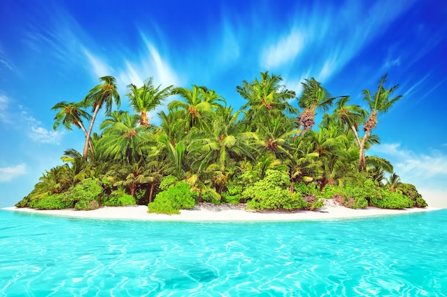 Whole tropical island within atoll in tropical Ocean. Uninhabited and wild subtropical isle with palm trees. Equatorial part of the ocean, tropical island resort.