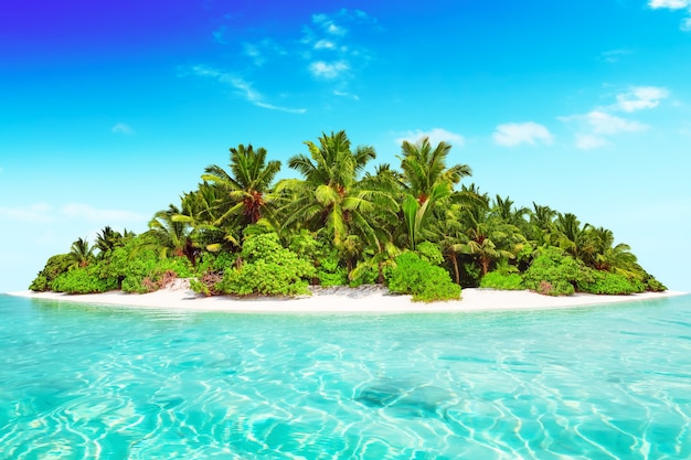 Whole tropical island within atoll in tropical Ocean. Uninhabited and wild subtropical isle with palm trees. Equatorial part of the ocean, tropical island resort.