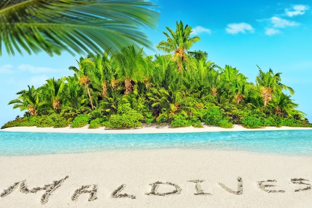 Photo whole tropical island within atoll in tropical ocean. uninhabited and wild subtropical isle with palm trees. inscription 