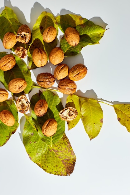 Whole walnut with leaves clipping path on white background