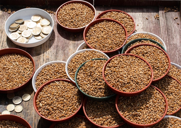 Whole wheat grains in bowl for spilling out to feed bird