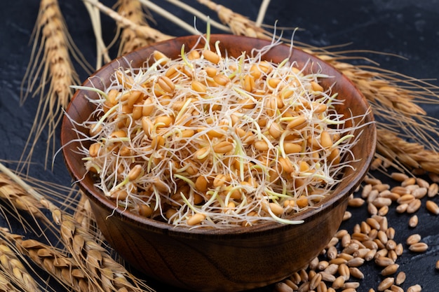 Whole wheat sprouts. Raw, vegan, vegetarian healthy food. Close-up.