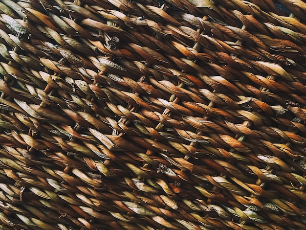 Wicker texture background natural construction material and interior design concept