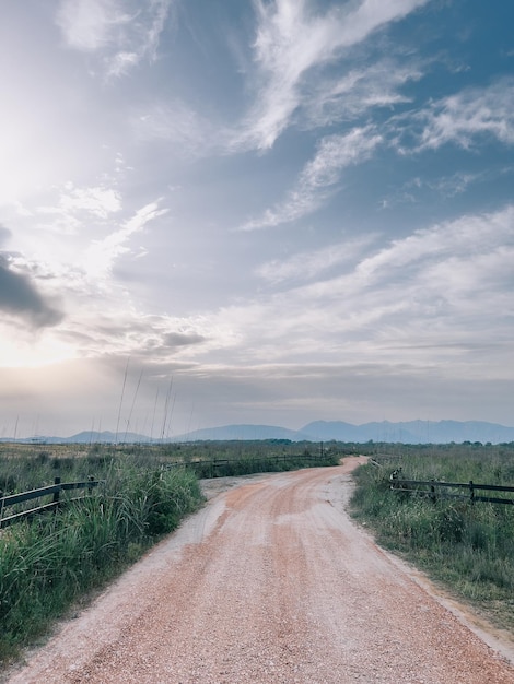 Wide country road among tall grass and wooden fences