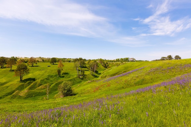 wide green fields with a gorge