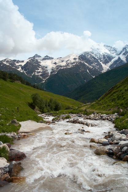 Wide green valley and mountains river with snowed peaks in the distance