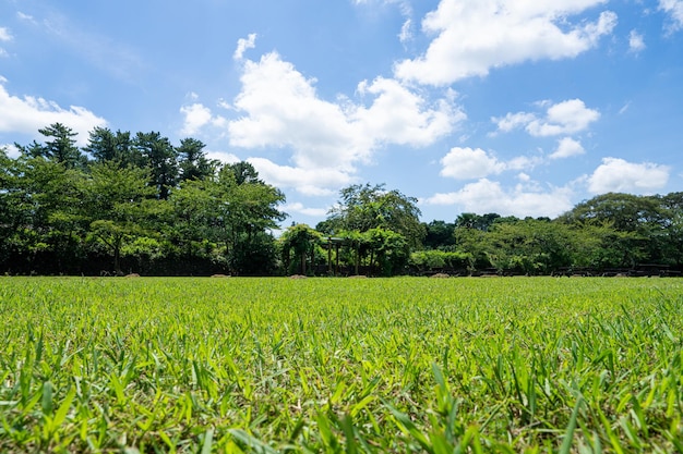 Wide open beautiful fields and blue sky