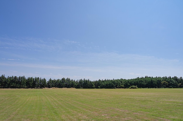 Wide open beautiful fields and blue sky