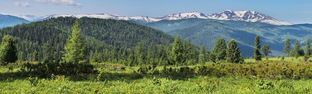 Wide panoramic view, the beginning of summer in the mountains. Green forests and meadows, snow-capped peaks and blue sky. Altay