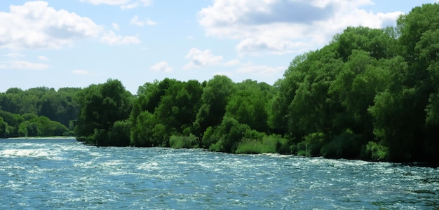 wide river Surrounded by the nature of green trees and rivers during the day