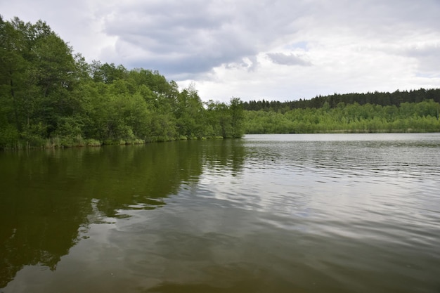 A wide river with trees on the shore Ulyanovsk region Russia