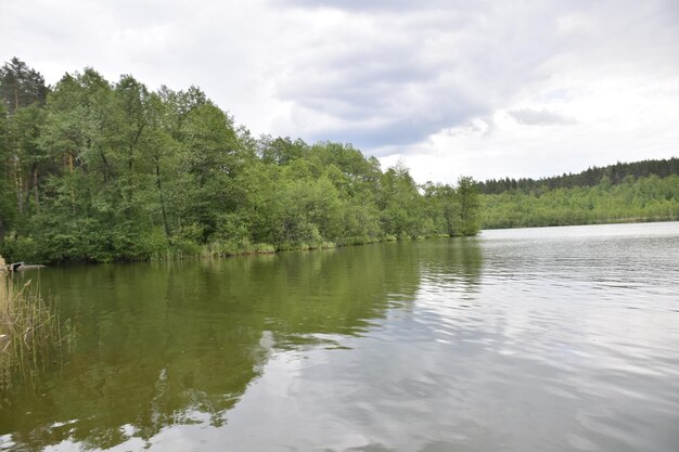 A wide river with trees on the shore Ulyanovsk region Russia