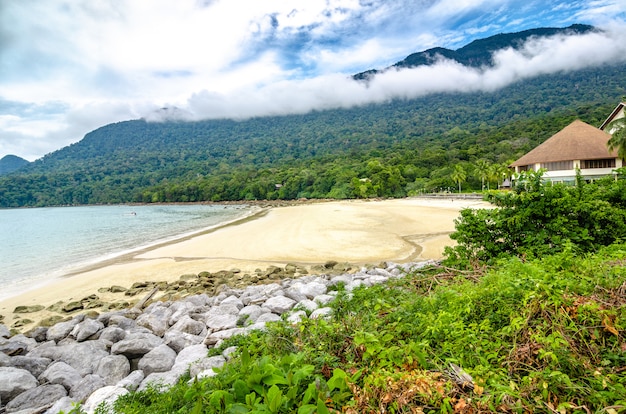 Wide sandy beach surrounded by stormy green vegetation