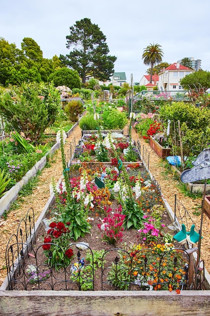 Wide view of flower garden with multiple colorful flowers and succulents in plot