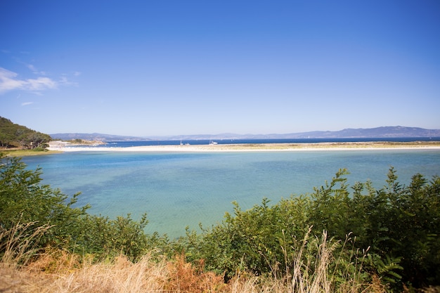 wild beach in summer