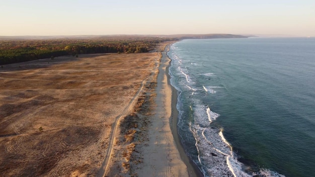 Wild beach with sand and forest in Bulgaria aerial view