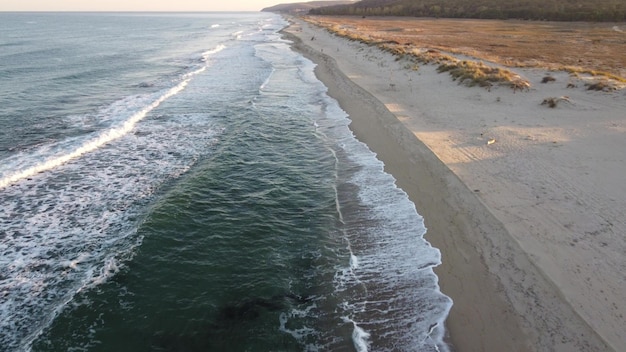 Wild beach with sand and forest in Bulgaria aerial view