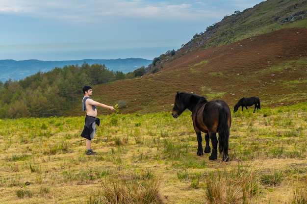 A wild black horse on top of Mount Adarra in the town of Urnieta near San Sebastian