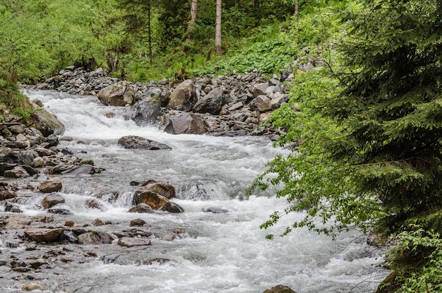 Wild brook in the mountains