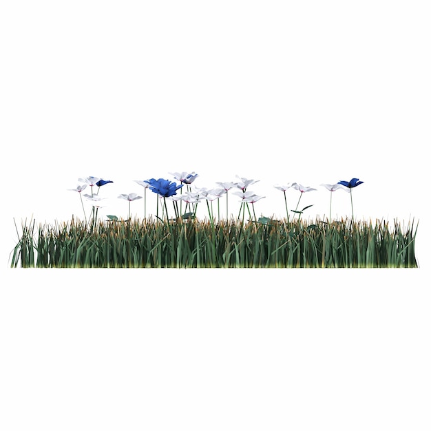 wild field grass, isolated on white background, 3D illustration, cg render