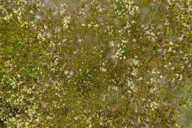 wild field view from above summer background