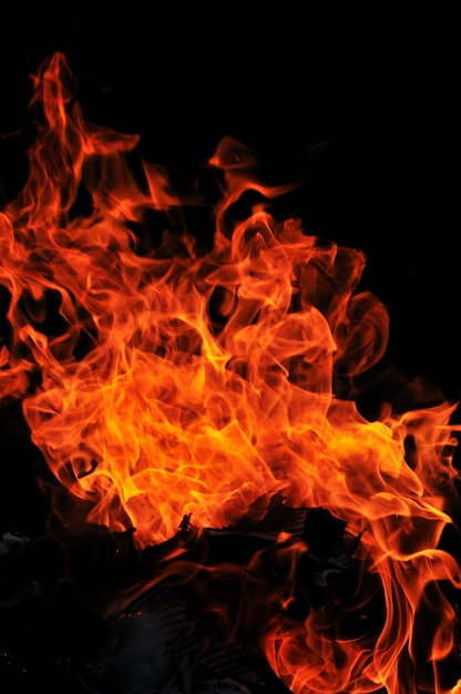 wild fire flames burn hot with black background