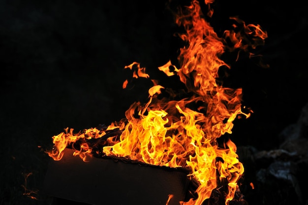 wild fire flames burn hot with black background