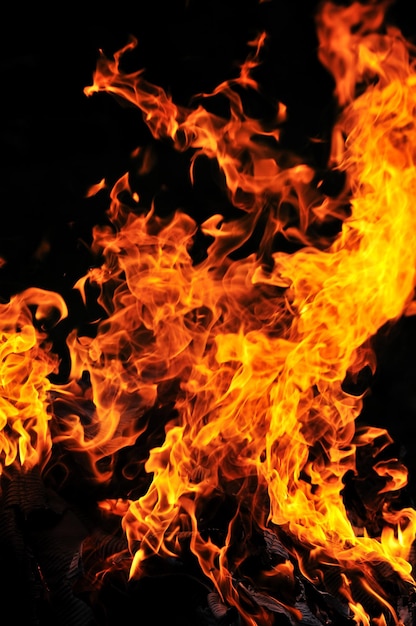 wild fire flames burn hot with black background