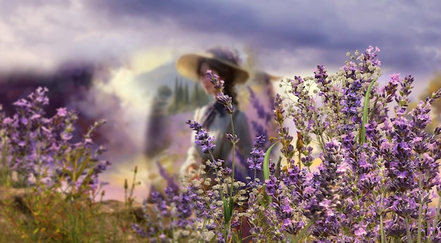 wild flowers  lavender  field on horizon romantic young people  walk , cloudy sky and rainbow