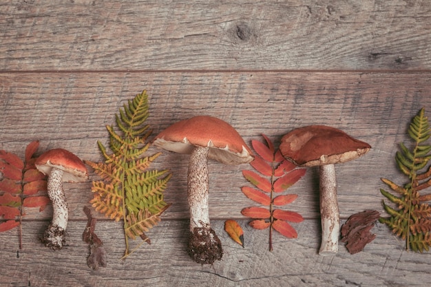 Wild fresh mushrooms on a rustic wooden table Orange Birch Bolete Copyspace Autumn background