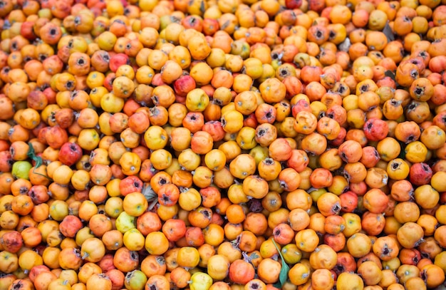 Wild fruit azarole mediterranean medlar collected and sold in market