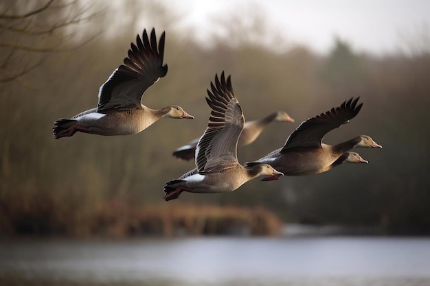 Wild geese are flying AI Generated