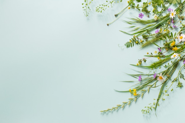 wild grass and flowers on green paper background