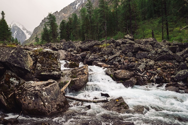 Wild mountain creek with big stones