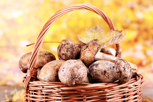 Wild mushrooms and autumn leaves in basket on bright background