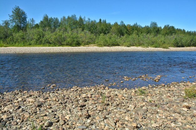 The wild northern river