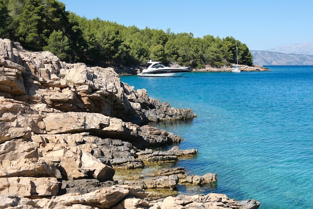 WIld pine forest along Hvar island coastline of Adriatic Sea Maslinica Beach Public bathing place not far from Vrboska village Hvar island Dalmatia Croatia