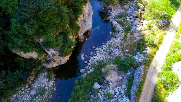 Wild river with rocks in the mountain Mountain river flowing through the green forest landscape