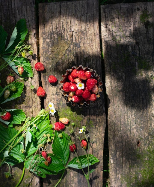 Wild strawberries on rustic wooden table with moss Vertical