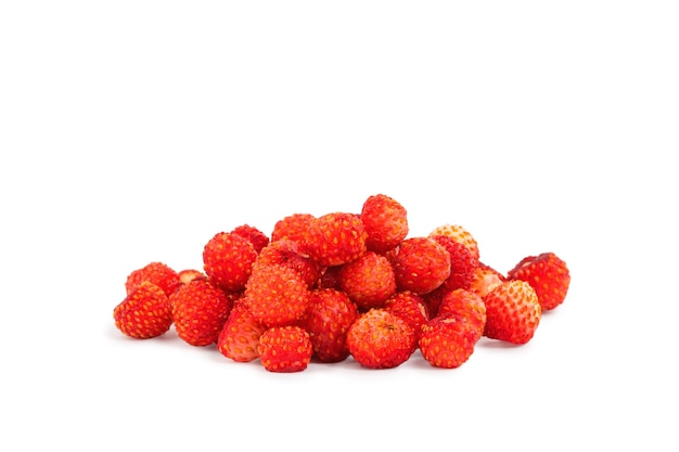 wild strawberry berries medicinal plant isolate on a white background